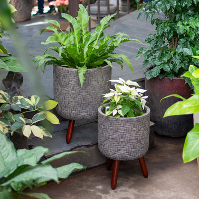 Tube Planter With Wooden Leg