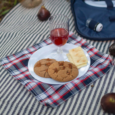 Picnic Backpack Set