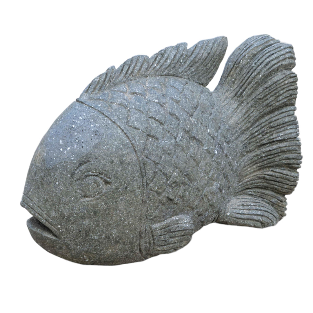 KOI Cham Fish