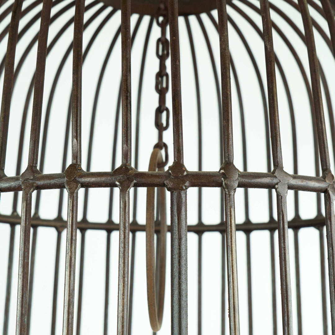 Iron Bird Cage