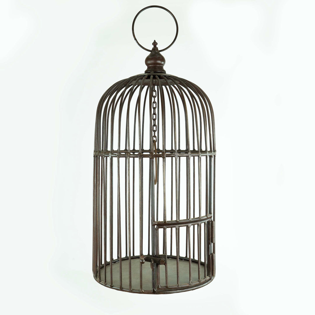 Iron Bird Cage