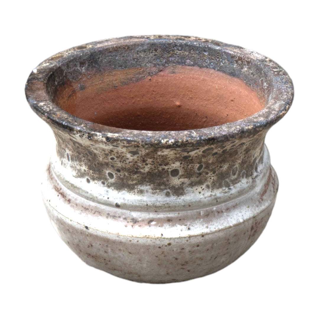Calyx Ceramic Pot