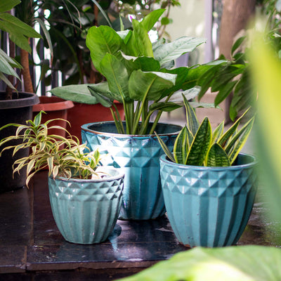 Light Green Outdoor Glazed Planter