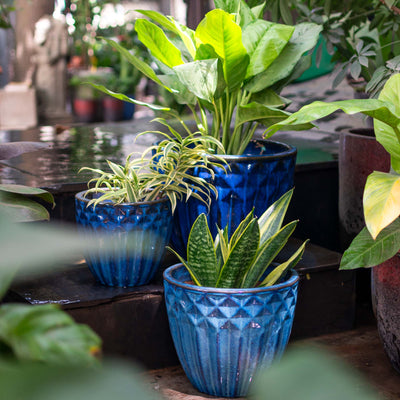 Blue Outdoor Glazed Planter