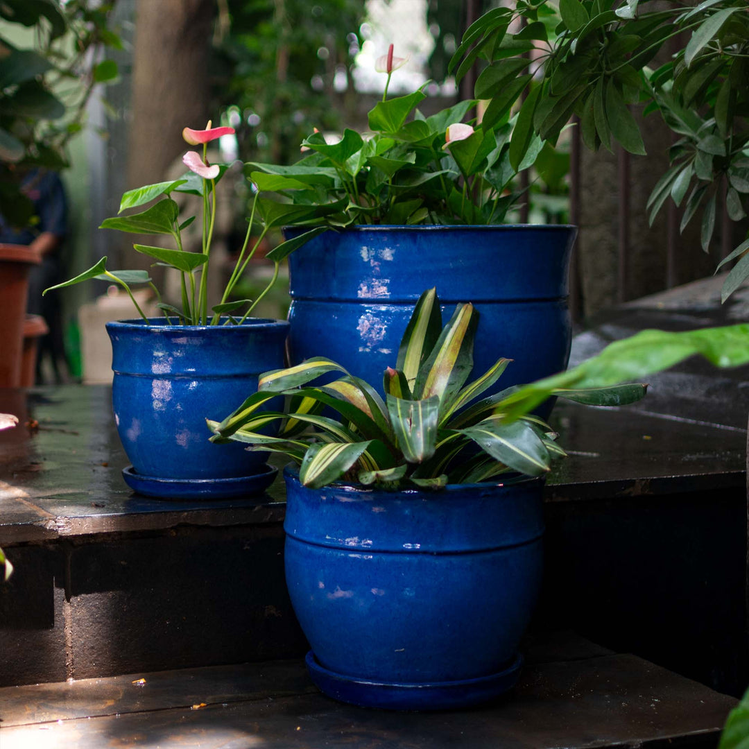 Blue Indoor Glazed Planter with Plate