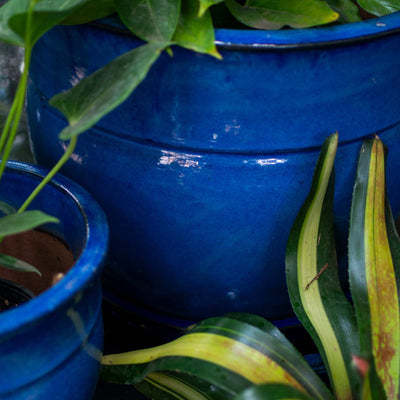 Blue Indoor Glazed Planter with Plate