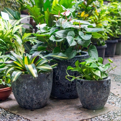 Blue Atlantic Glazed Planter