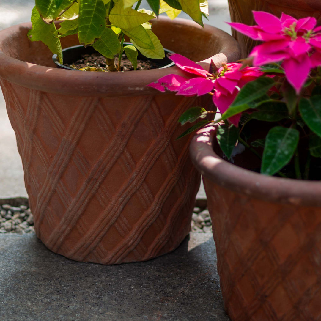 Black Clay Pot Brown