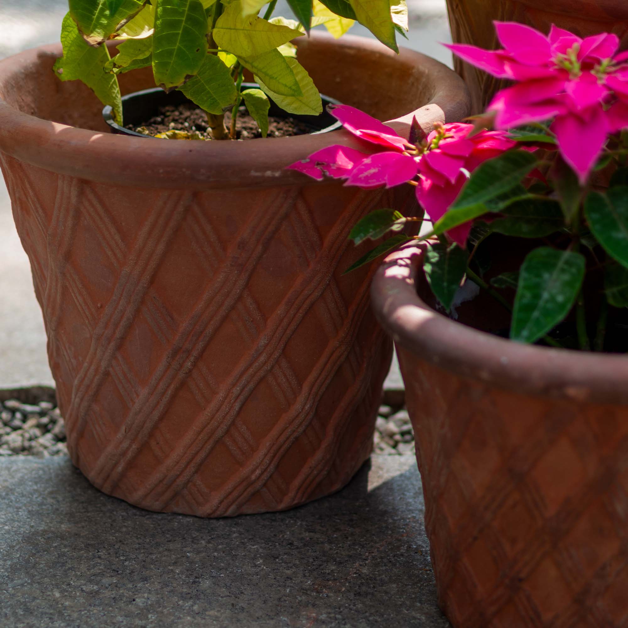 Clay Pot Brown