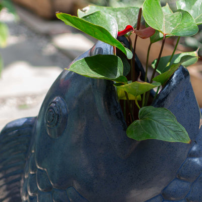 Outdoor Glazed Fontana Fish Pot