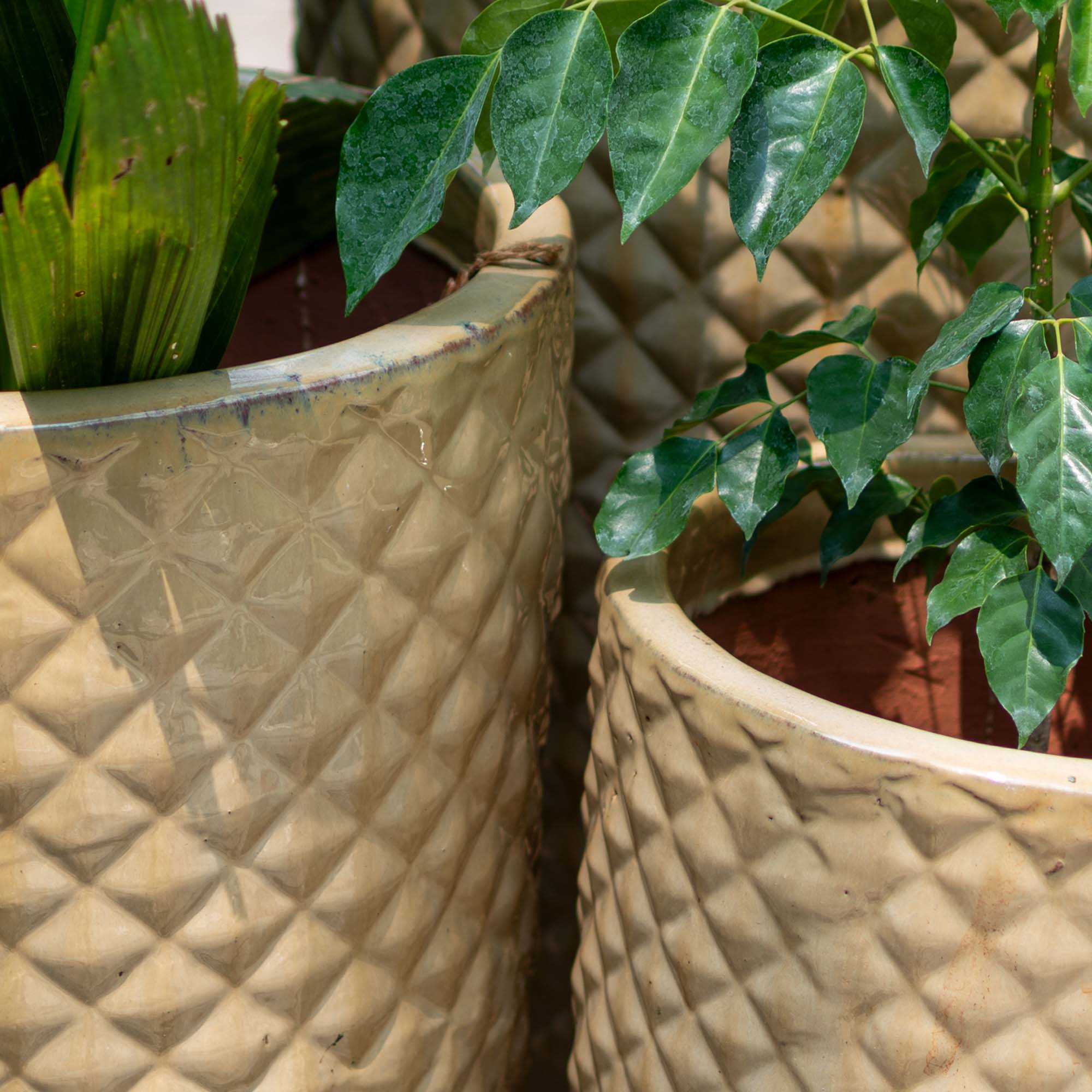 Outdoor Glazed Havana Pot