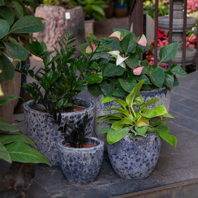 Atlantic Glazed Blue Pot