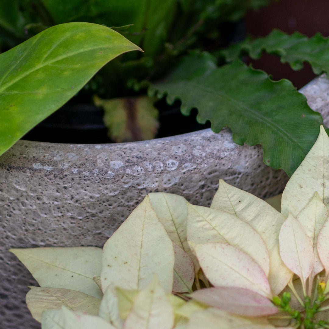 Atlantic Glazed Beige Pot