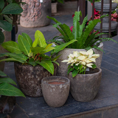 Atlantic Glazed Beige Pot