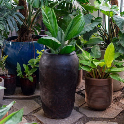 Vintage Large Terracotta Pot - Extra Large