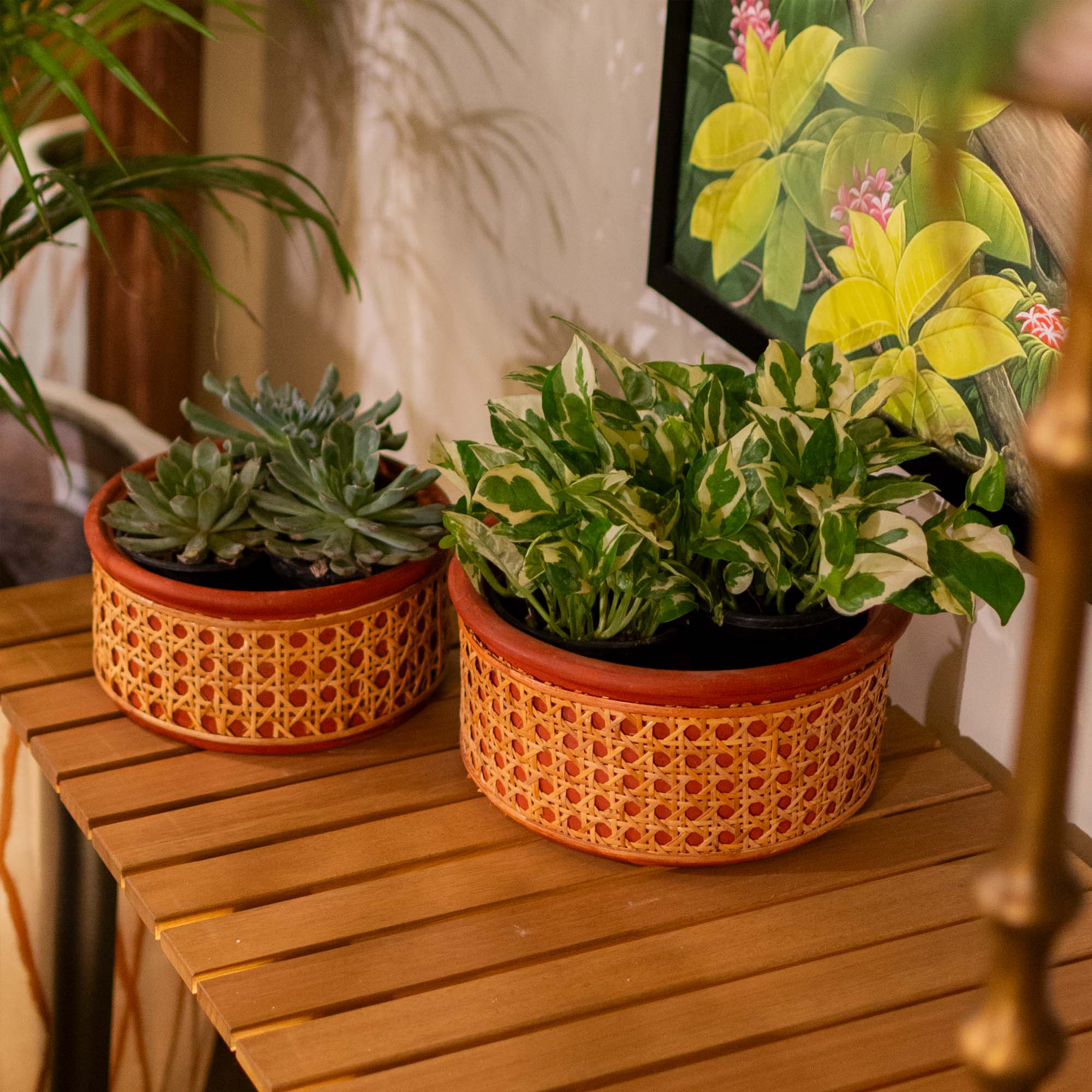 Terracotta Flat Planter with Tight Rattan Weave