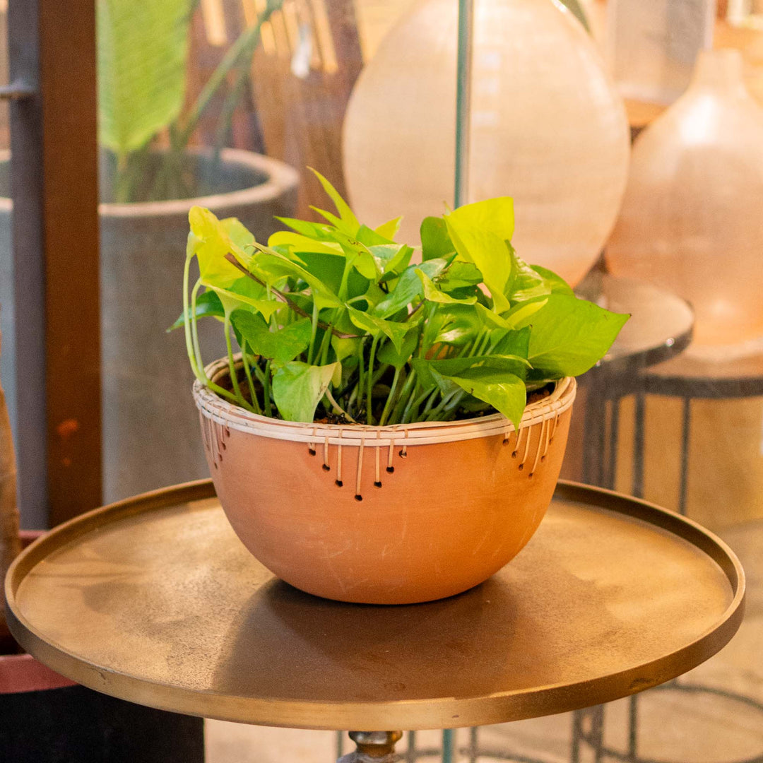 Natural Terracotta Round Bowl with Rattan Weave