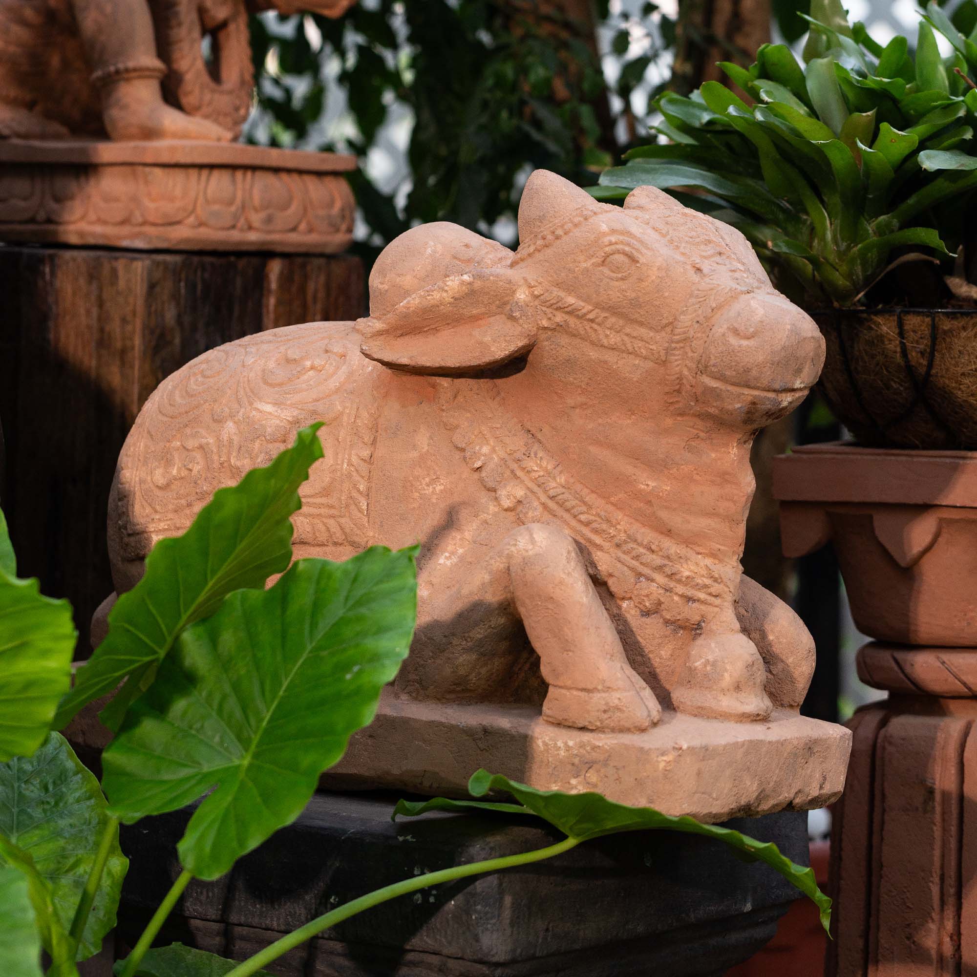 Nandi Statue