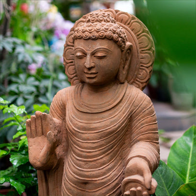 Buddha Standing With Back Head Charaka Sculpture