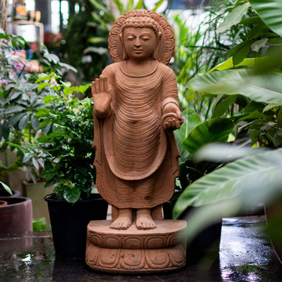 Buddha Standing With Back Head Charaka Sculpture