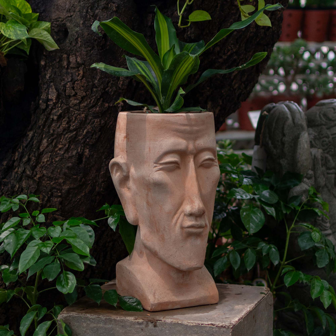Head Pot