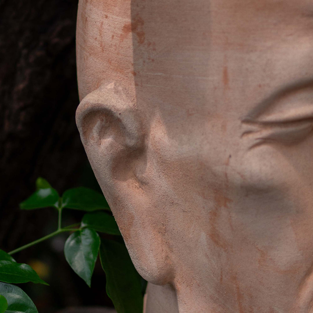 Head Pot