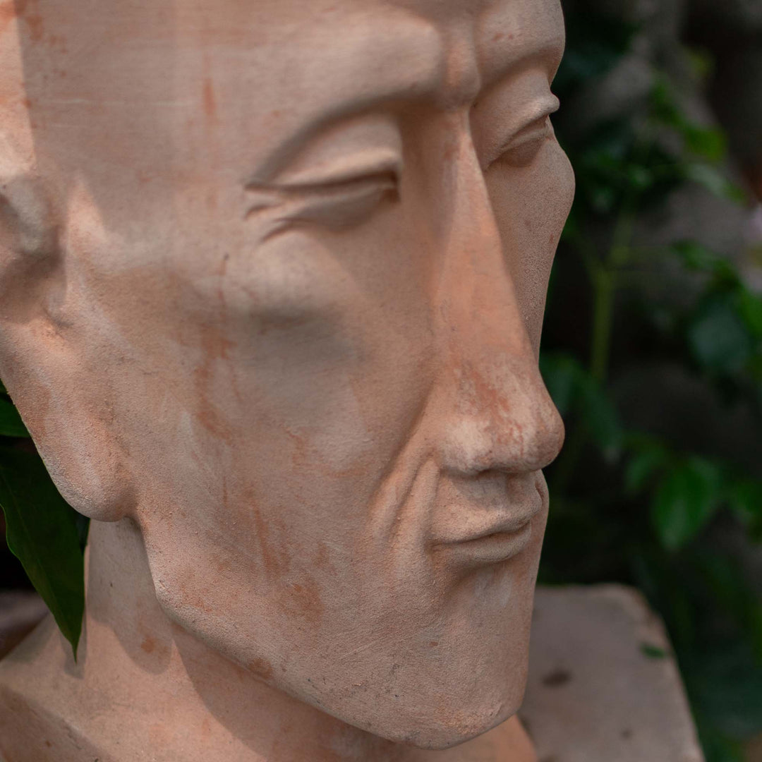 Head Pot