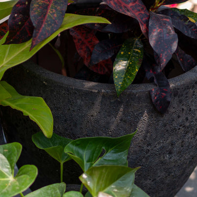 Round Black Ancient Pot