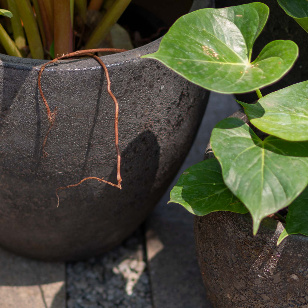 Round Black Ancient Pot