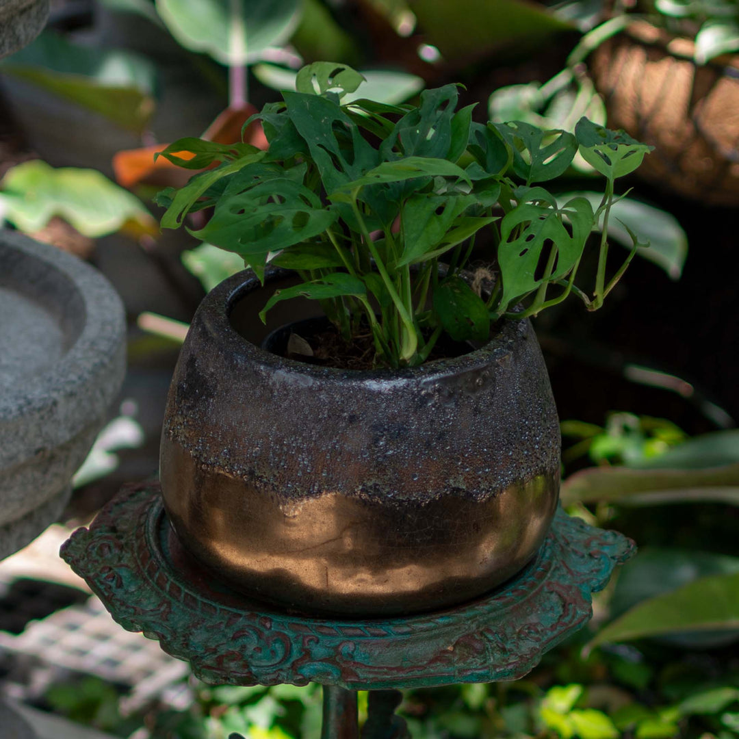 Round Dark Brown & Bubble Pot