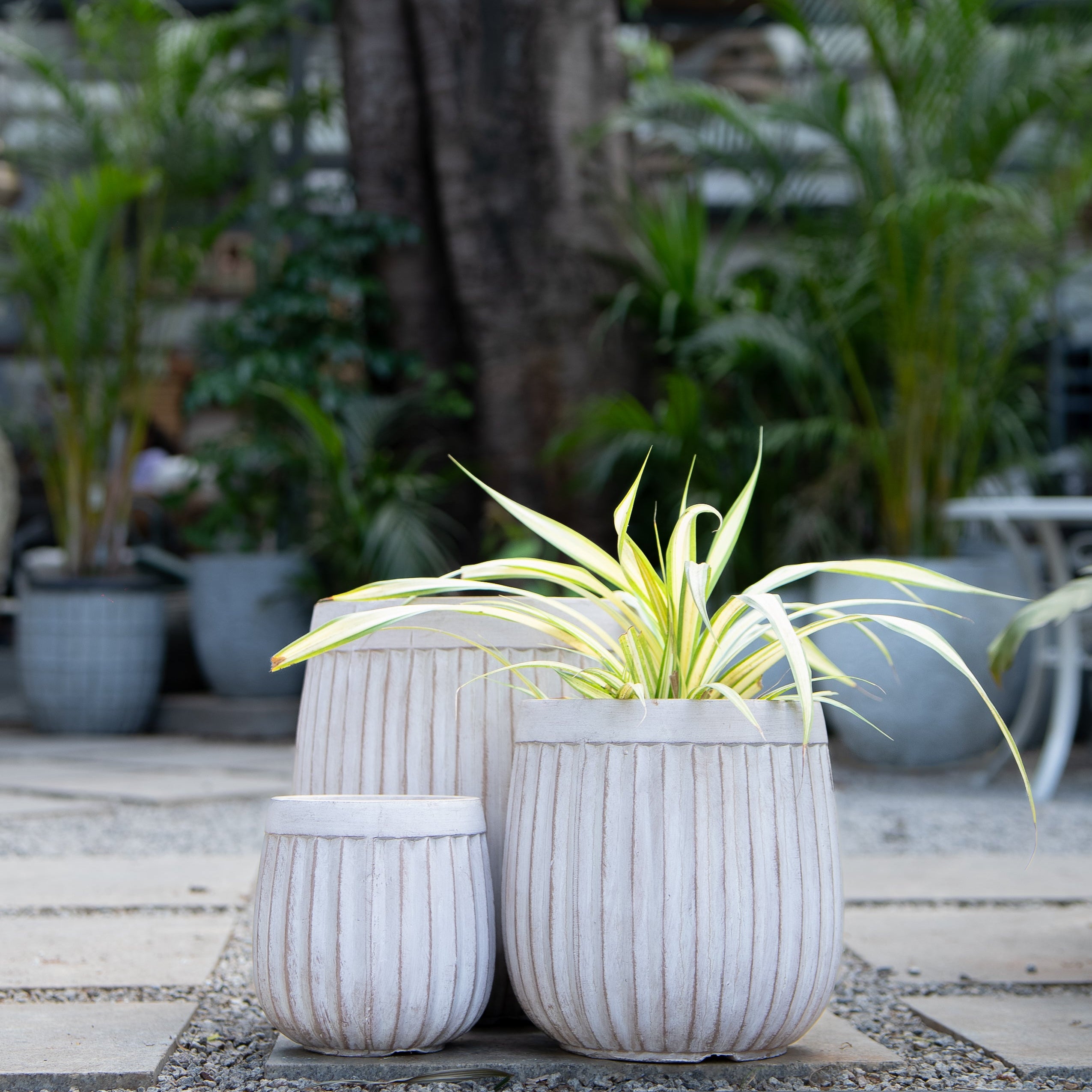 Lola Ribbed Planter