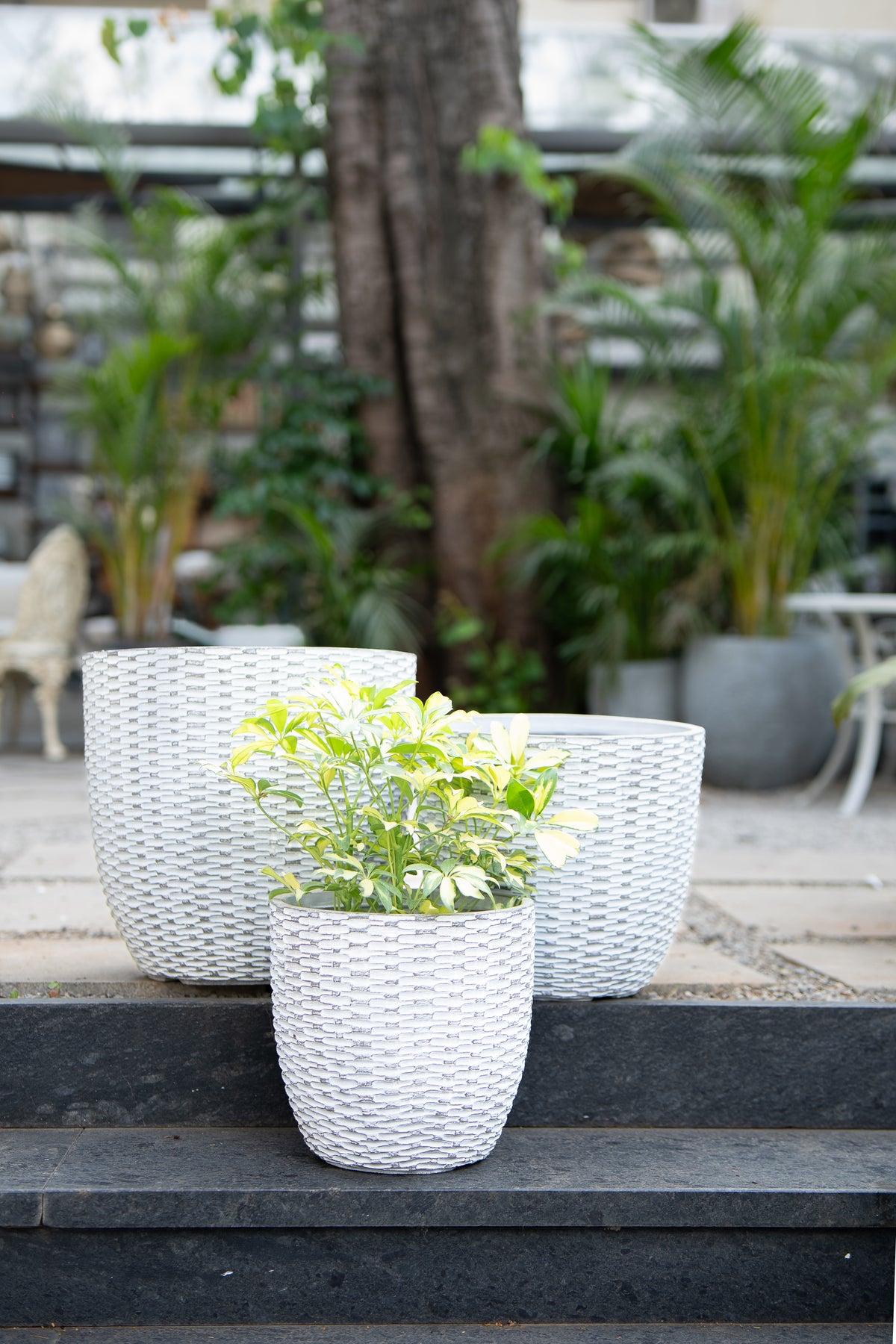 LENON BASKET PLANTER