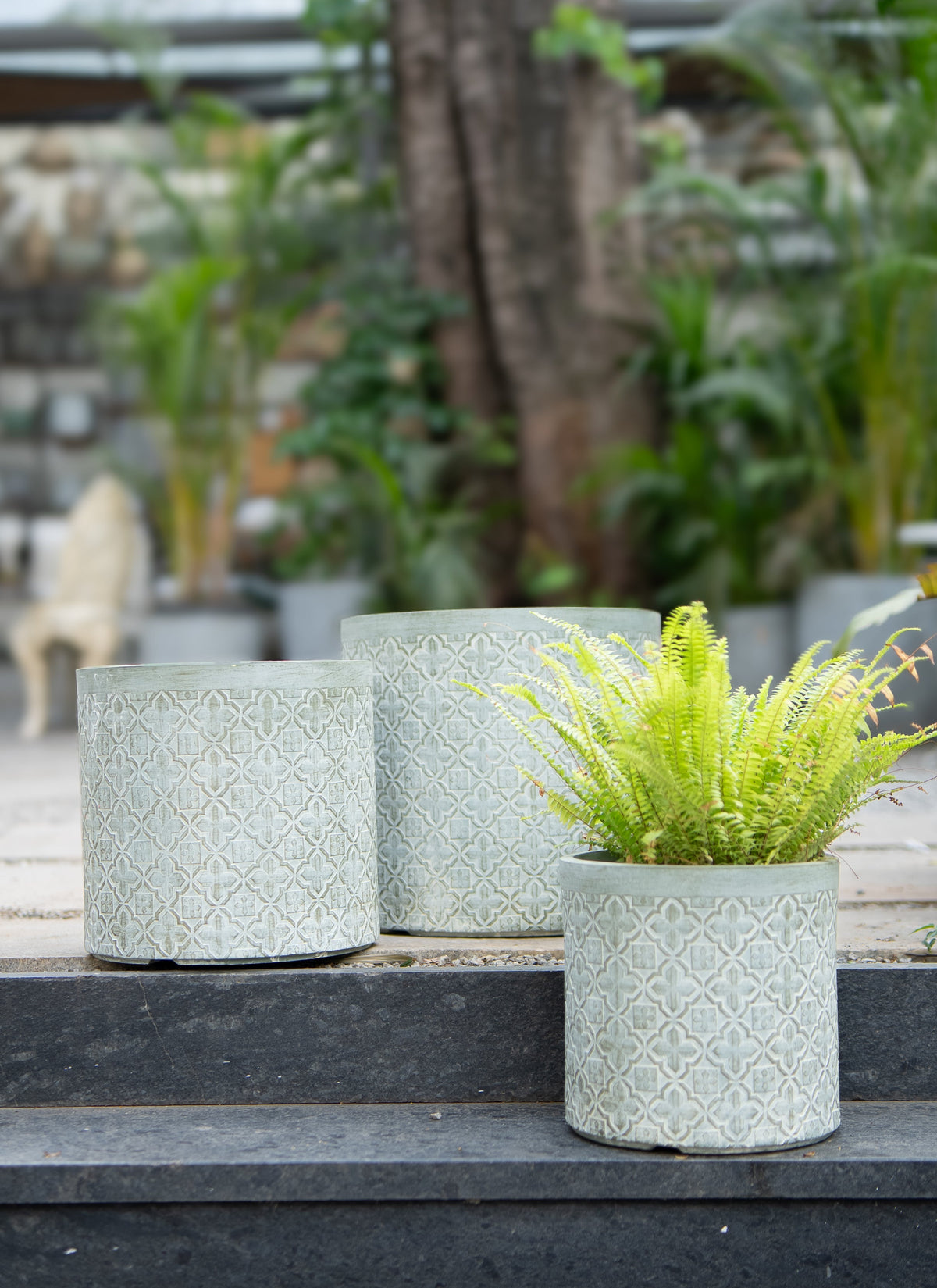 BAE CYLINDRICAL PLANTER
