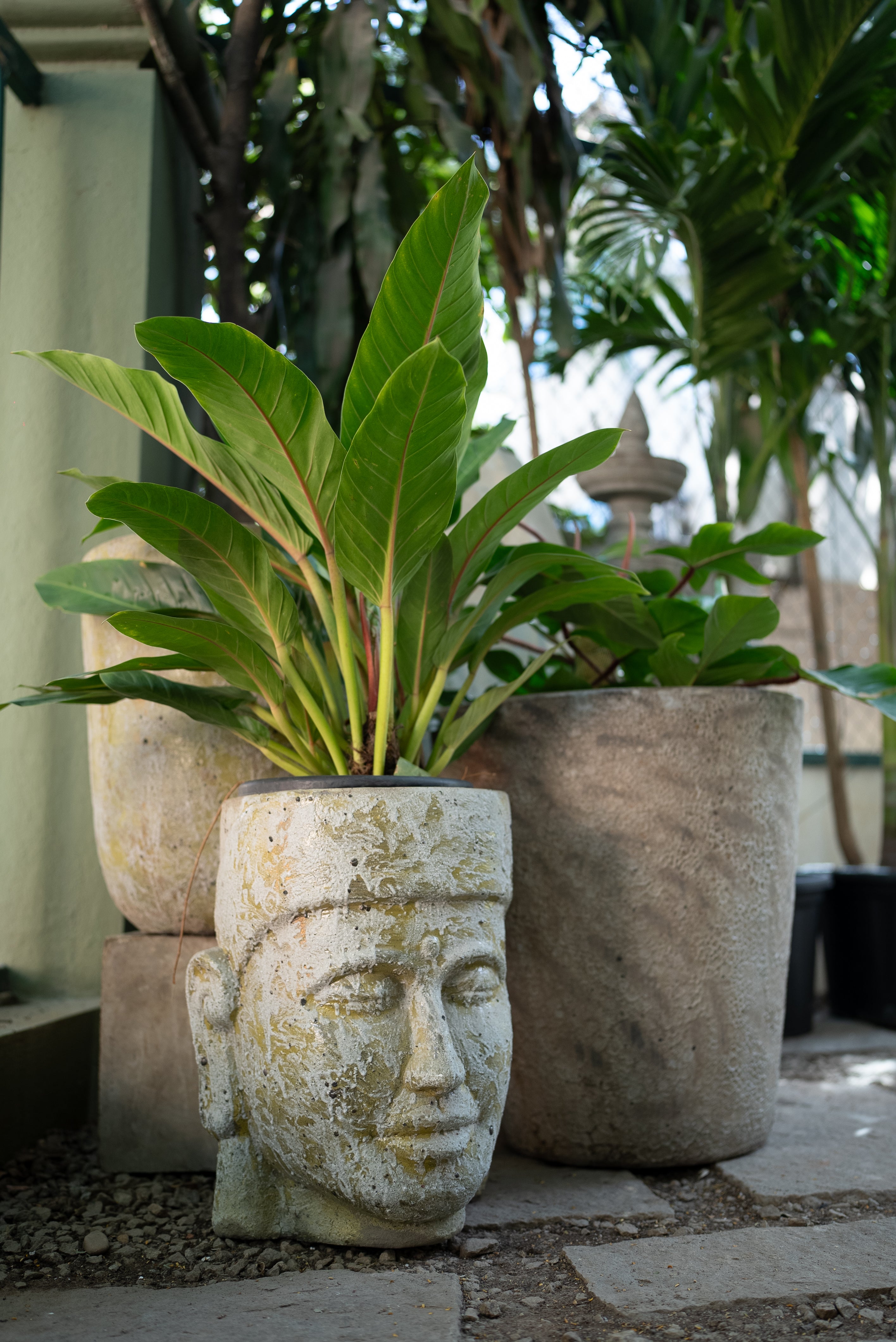 Face Ceramic Pot