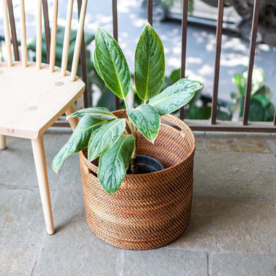 Brown Oval Planter Basket