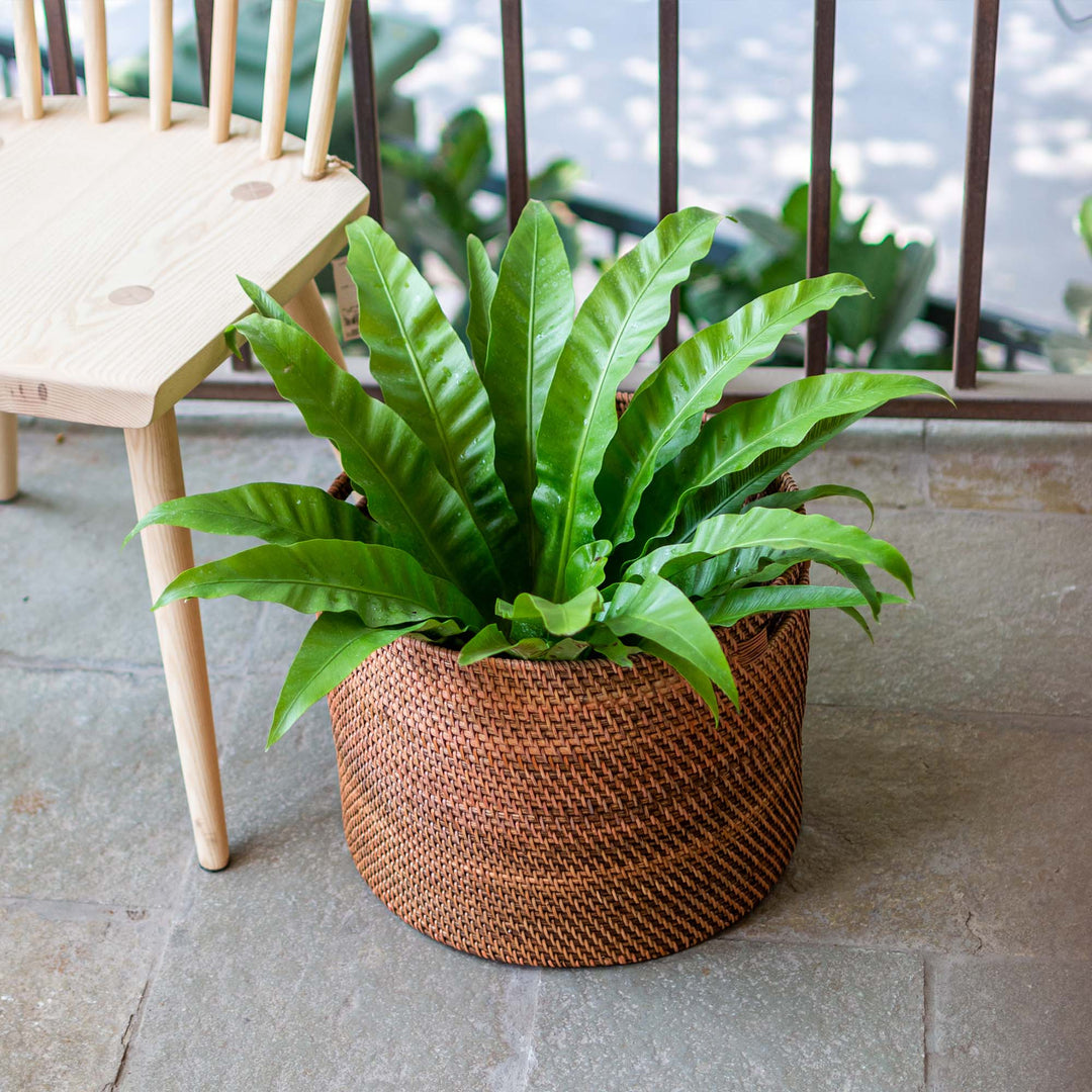 Brown Oval Planter Basket