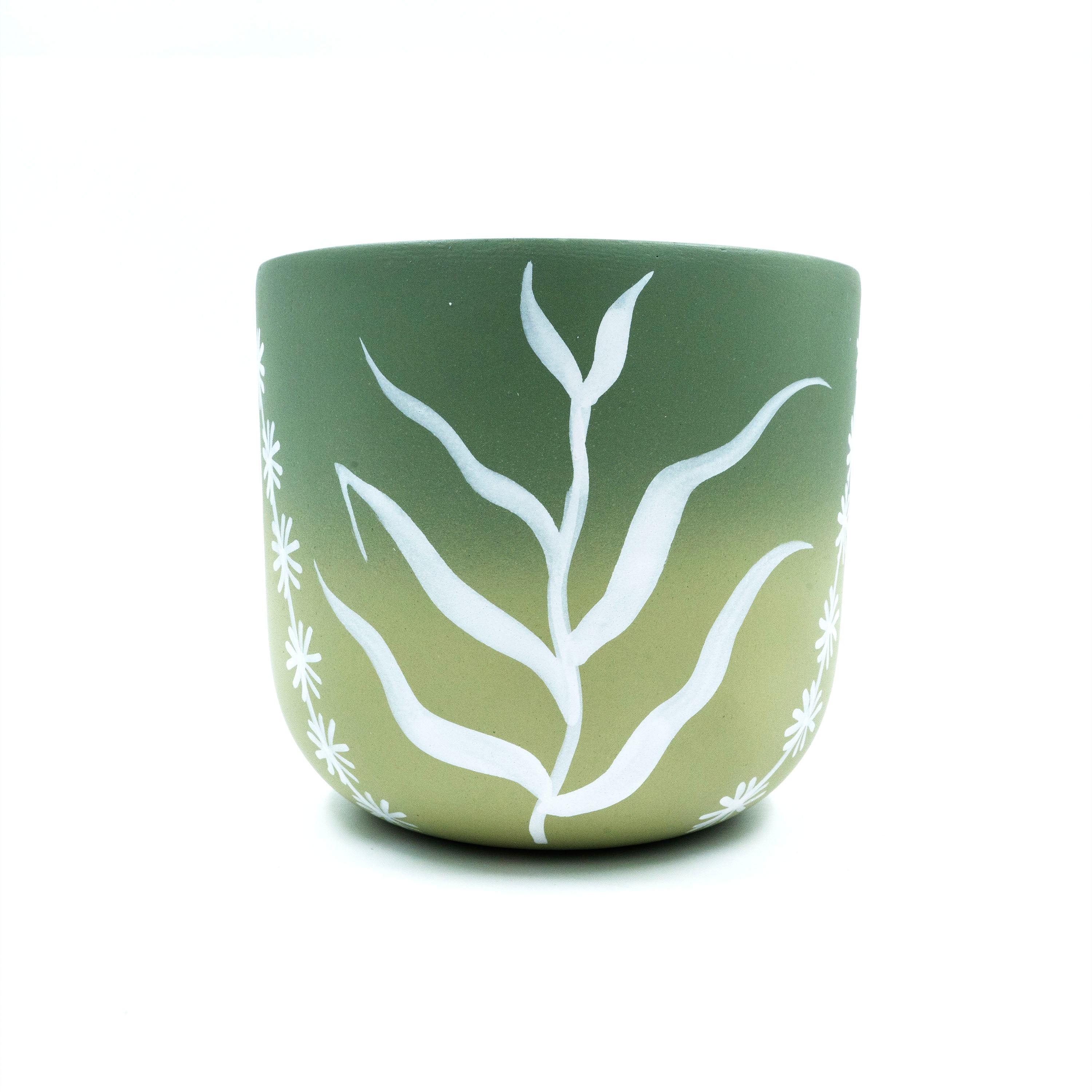Terracotta Planter Ombre