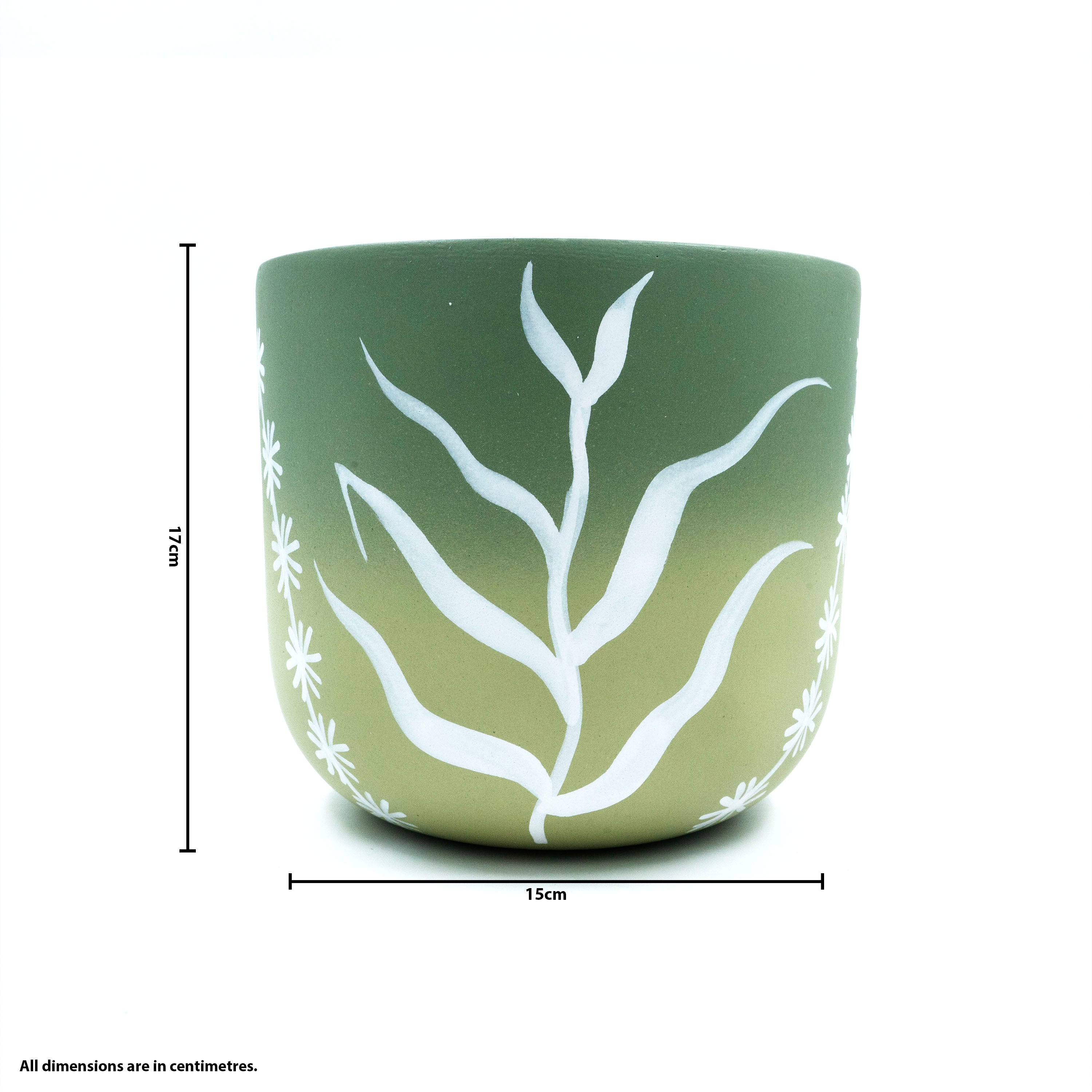 Terracotta Planter Ombre