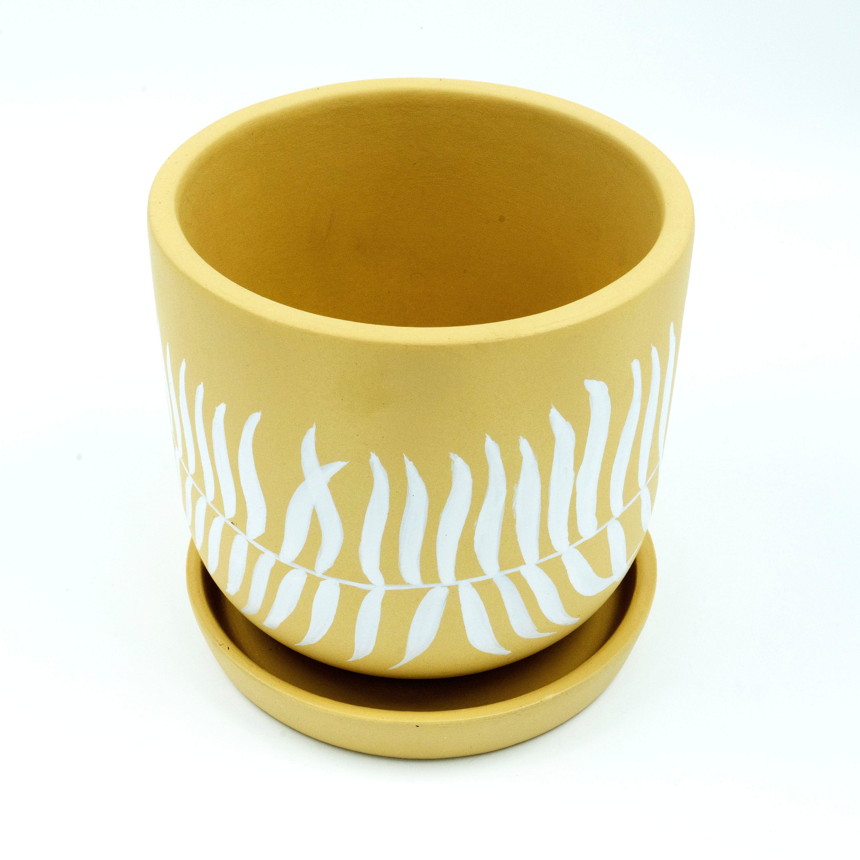Terracotta Planter Ombre
