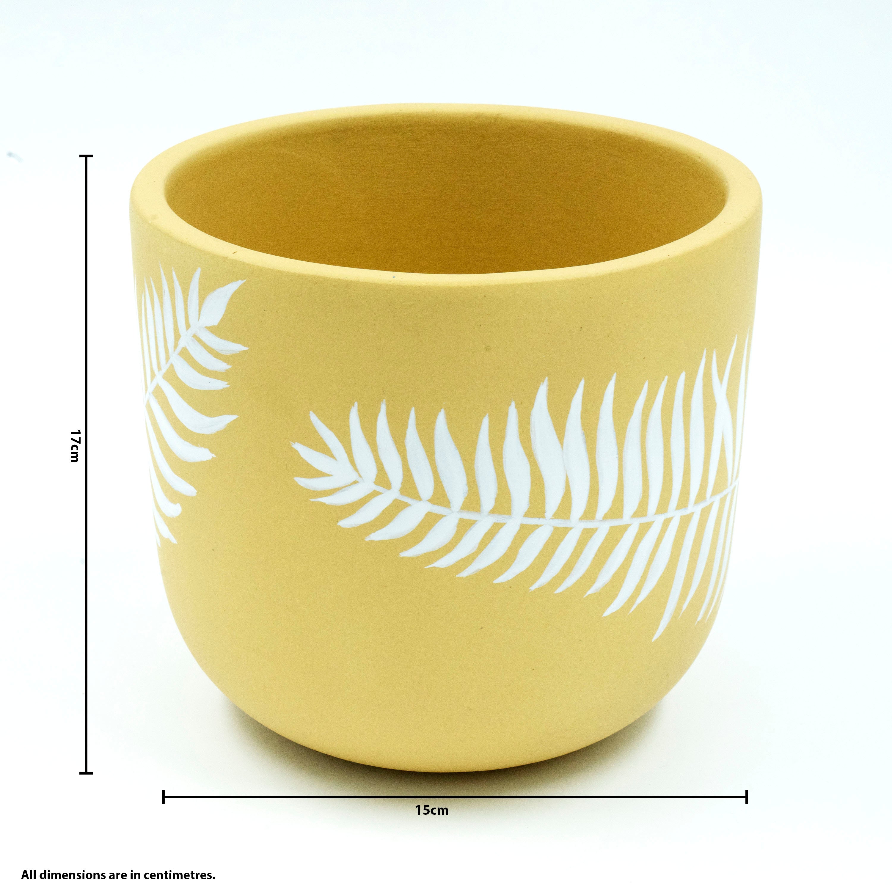 Terracotta Planter Ombre