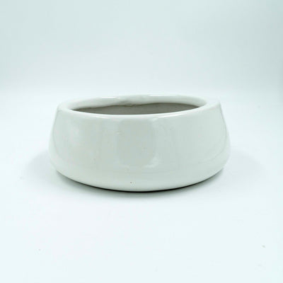 Tulip Fantasy Flat White Planter