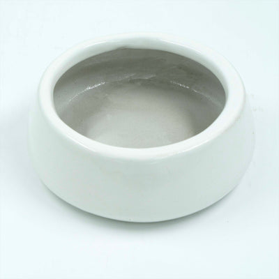 Tulip Fantasy Flat White Planter