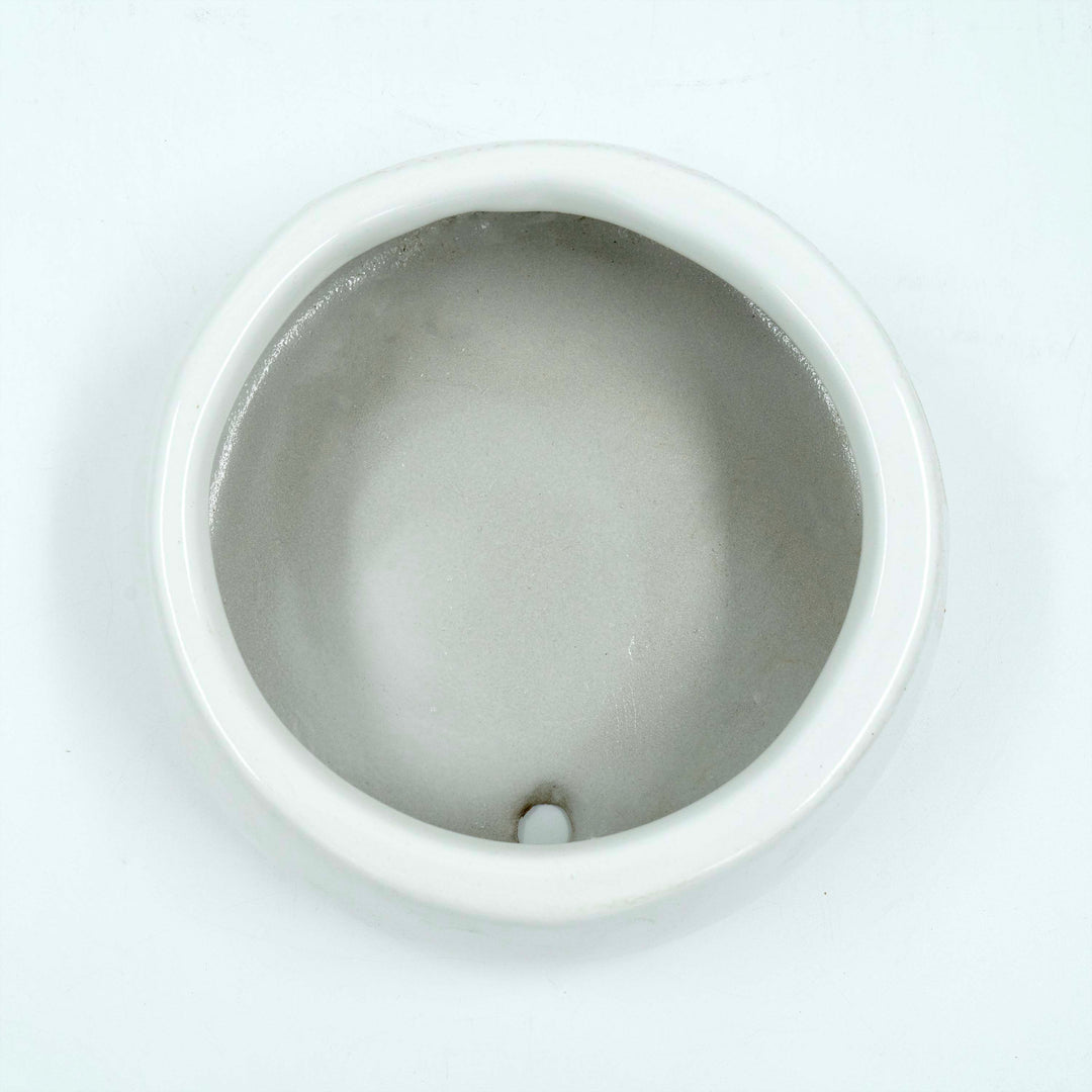 Tulip Fantasy Flat White Planter