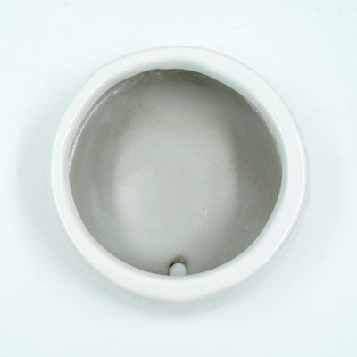 Tulip Fantasy Flat White Planter