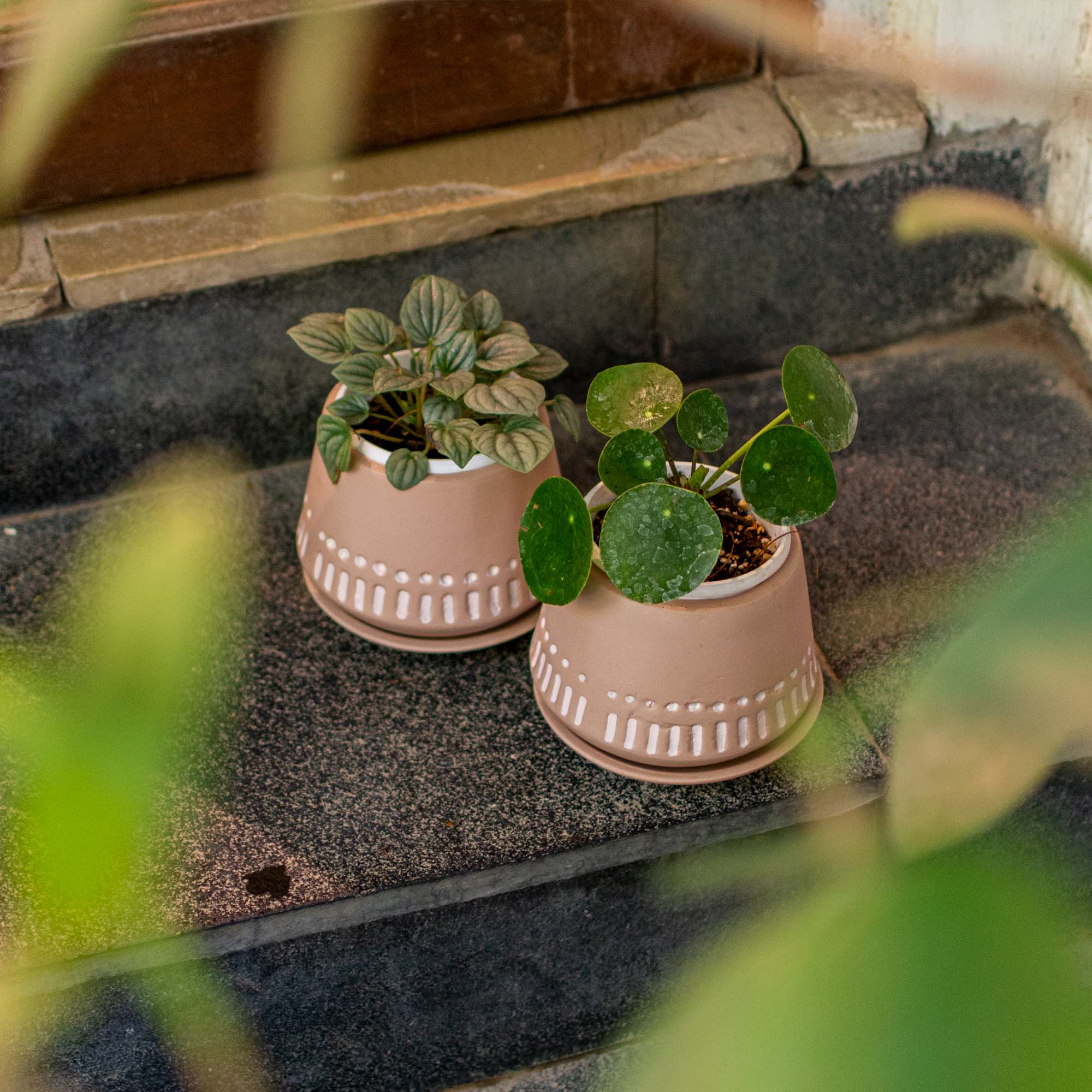 Terracotta Planter Bowl Etched Base