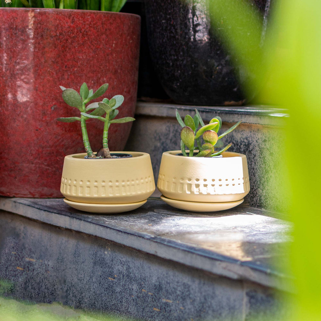 Terracotta Planter Wide Etched Base