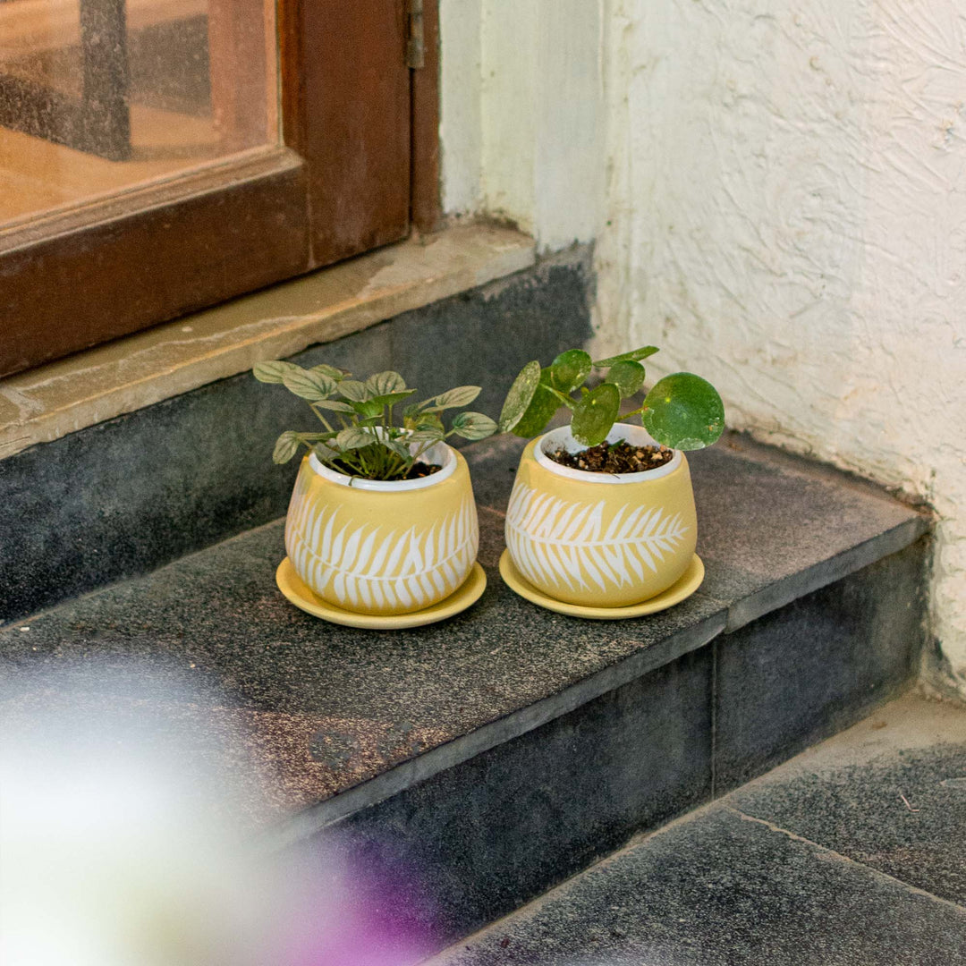 Terracotta Planter Motif With Plate