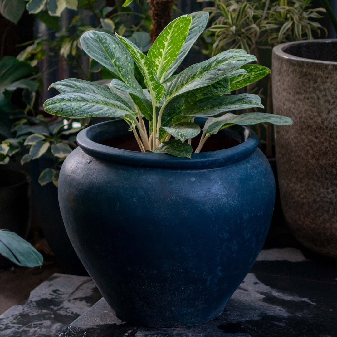 Textured Terracotta Pot (Large)