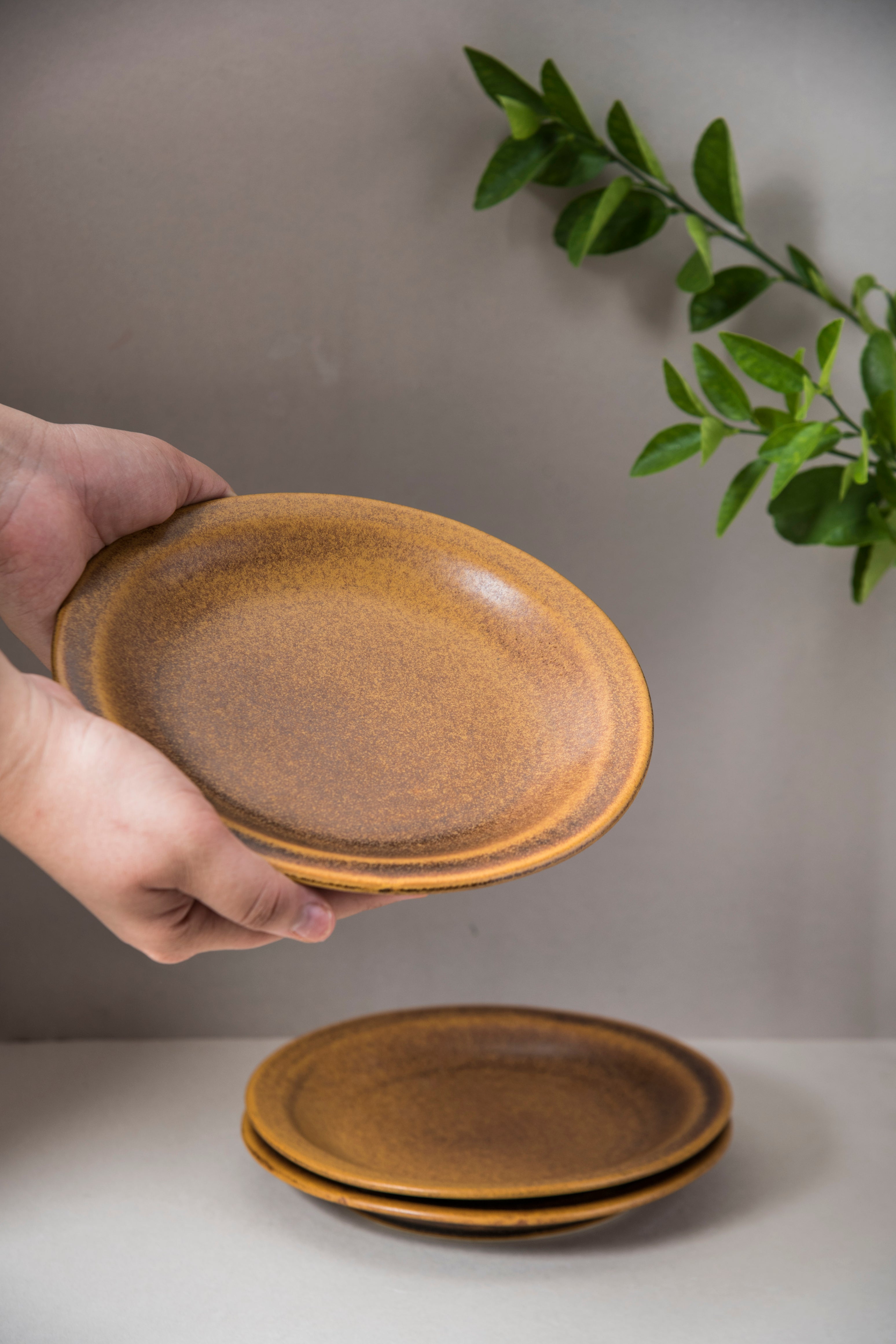 Savannah Quarter Plate
