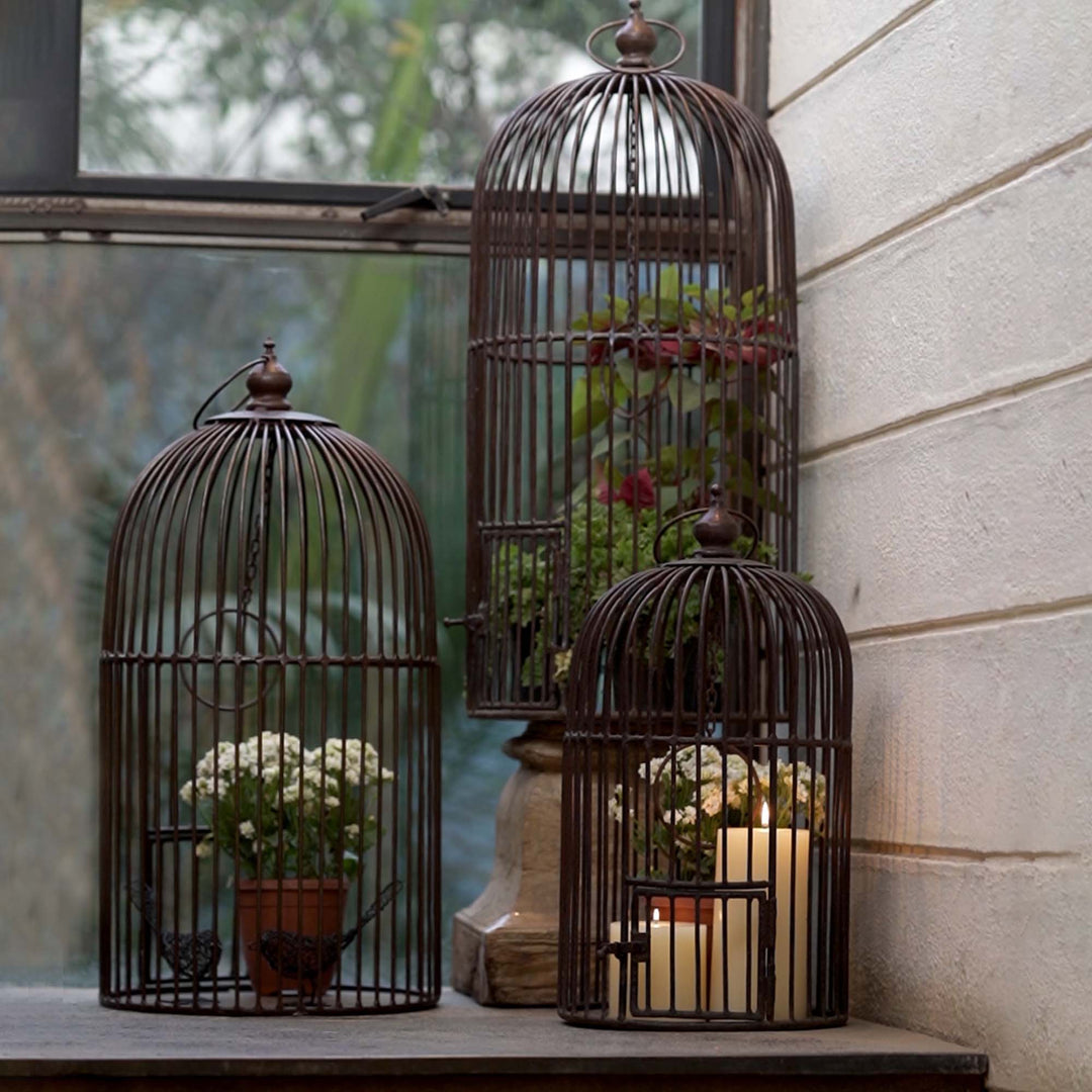 Iron Bird Cage